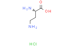 L-2,4-二氨基丁酸 单盐酸盐
