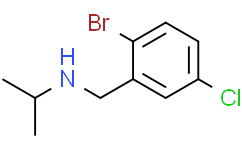 N-(2-溴-5-氯苄基)丙-2-胺