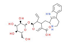 异胡豆苷酸Strictosidinic acid