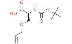 (S)-3-(烯丙氧基)-2-((叔丁氧基羰基)氨基)丙酸