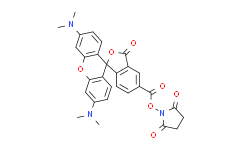 NHS-5(6)Carboxyrhodamine