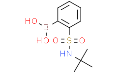 2-(叔丁基氨基)磺酰基苯硼酸