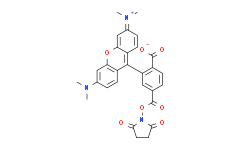 6-羧基四甲基罗丹明琥珀酰亚胺酯|6-TAMRA, SE