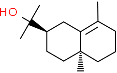 表桉叶油醇