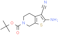 2-氨基-3-氰基-4,7-二氢噻吩并[2,3-c]吡啶-6(5h)-羧酸叔丁酯
