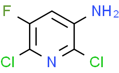 2,6-二氯-5-氟吡啶-3-胺