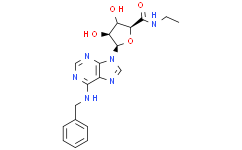 N6-苄基-5rsquo-乙基羧酰胺基腺苷（NECA）