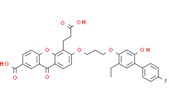 5-(2-Carboxyethyl)-6-[3-[2-ethyl-4-(4-fluorophenyl)-5-hydroxyphenoxy]propoxy]-9-oxoxanthene-2-carboxylic acid
