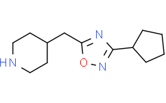 3-环戊基-5-(哌啶-4-基甲基)-1,2,4-恶二唑