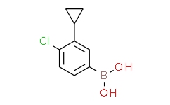 (4-氯-3-环丙基苯基)硼酸
