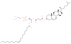 1-油酰基-2-胆固醇基半琥珀酰-sn-甘油-3-磷酸胆碱