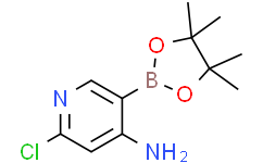 2-氯-5-(4,4,5,5-四甲基-1,3,2-二氧硼杂环戊烷-2-基)吡啶-4-胺