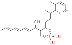 Cytostatin,PP2A抑制剂