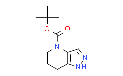 tert-butyl 6,7-dihydro-1H-pyrazolo[4,3-b]pyridine-4(5H)-carboxylate