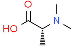 (R)-2-(二甲基氨基)丙酸
