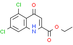 5,7-二氯-4-羟基-喹啉-2-甲酸乙酯