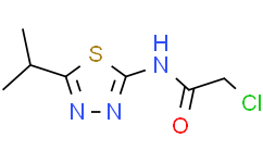 2-氯-N -(5-异丙基-1,3,4-噻二唑-2-基)乙酰胺
