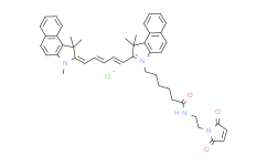 酯溶CY5.5(甲基）马来酰亚胺