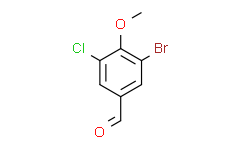 辛酸-1,2,3,4-13C4