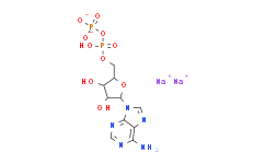 5-腺苷二磷酸二钠盐/5-二磷酸腺苷二钠盐/焦磷酸腺苷/ADP钠盐/5'-ADP，Na2