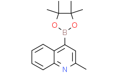2-甲基-4-(4,4,5,5-四甲基-1,3,2-二氧硼杂环戊烷-2-基)喹啉