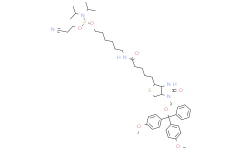5'-生物素亞磷酰胺