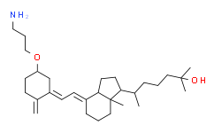 25-羟基维生素D33,3'-氨基丙基醚
