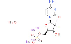 Gemcitabine monophosphate