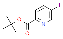 5-碘吡啶-2-甲酸叔丁酯