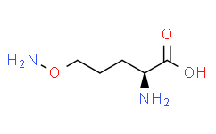 (2S)-2-amino-5-(aminooxy)pentanoic acid