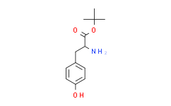 L-酪氨酸叔丁酯/L-Tyrosine tert-butyl ester