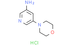 5-吗啉吡啶-3-胺三盐酸盐