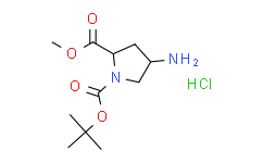 (2S,4S)-1-叔丁基2-甲基4-氨基吡咯烷-1,2-二甲酸酯盐酸盐
