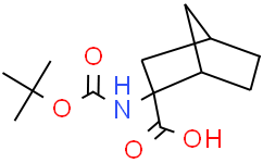 2-((叔丁氧羰基)氨基)双环[2.2.1]庚烷-2-羧酸