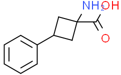 1-amino-3-phenyl-cyclobutanecarboxylic acid