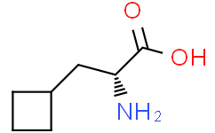 (R)-2-Amino-3-cyclobutylpropanoic acid,174266-00-3