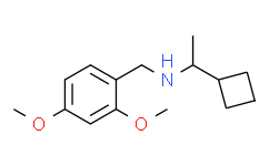 (1-Cyclobutylethyl)[(2,4-dimethoxyphenyl)methyl]amine