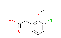 2-(3-chloro-2-ethoxyphenyl)acetic Acid