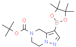 tert-butyl 3-(tetramethyl-1,3,2-dioxaborolan-2-yl)-4H,5H,6H,7H-pyrazolo[1,5-a]pyrazine-5-carboxylate