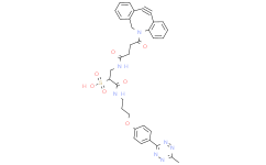 Methyltetrazine-DBCO