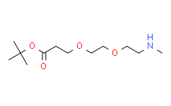 Methylamino-PEG2-Boc