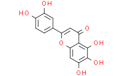 6-羟基四羟黄酮