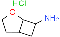 2-氧杂二环[3.2.0]庚-7-胺