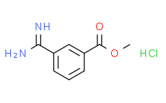 3-甲脒基苯甲酸甲酯盐酸盐