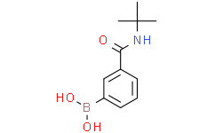 3-(叔丁基氨基羰基)苯基硼酸