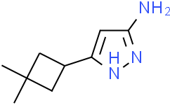 5-(3,3-二甲基环丁基)-1H-吡唑-3-胺