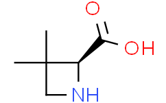 (2S)-3,3-二甲基氮杂环丁烷-2-羧酸