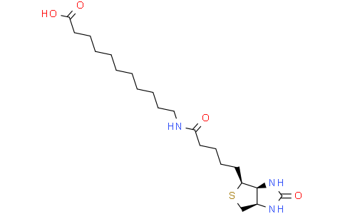 (+)-Biotin-SLC