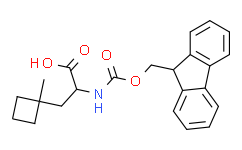 2-({[(9H-fluoren-9-yl)methoxy]carbonyl}amino)-3-(1-methylcyclobutyl)propanoic acid