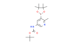 (6-甲基-5-(4,4,5,5-四甲基-1,3,2-二氧杂硼杂环戊烷-2-基)吡啶-3-基)氨基甲酸叔丁酯